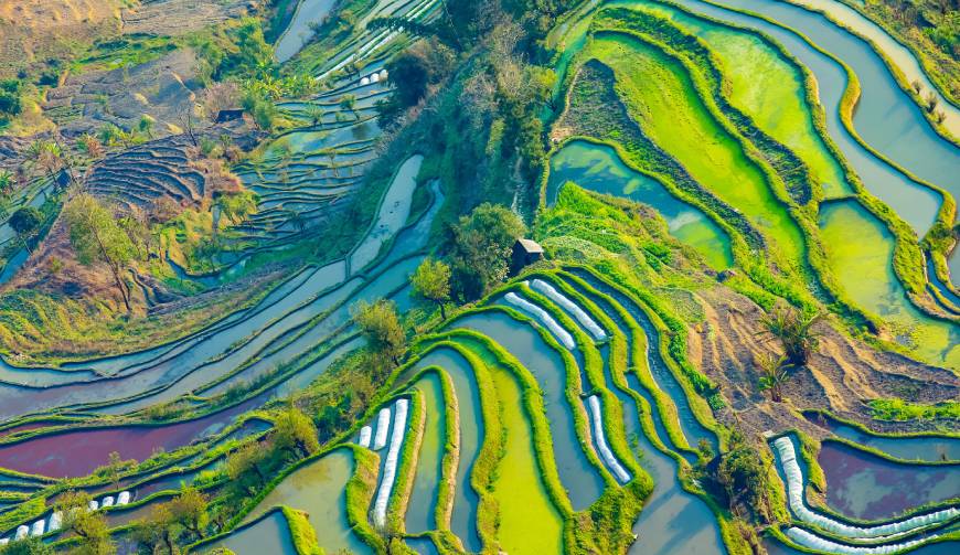 宝妈必备神器：西乌珠穆沁旗产品视频拍摄轻松育儿好帮手